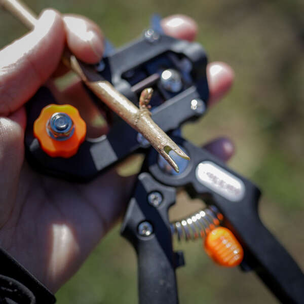 Reppex - Pruning tool for fruits