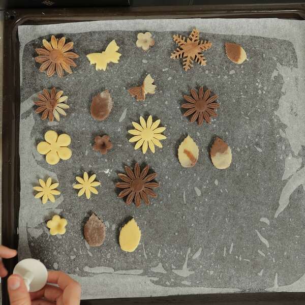 CookiePro - 47-piece cutting mold