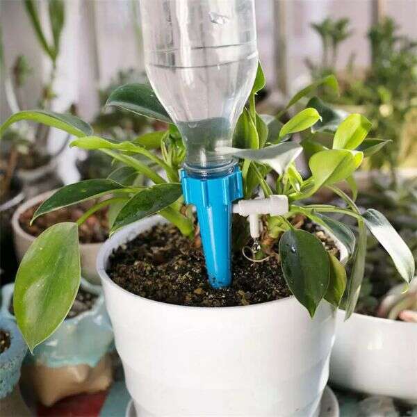 DripDrops - Set of 12 watering tools
