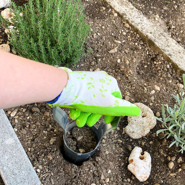 Plantigo - Kit per piantare