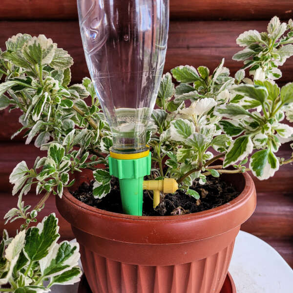 DripDrops - Set of 12 watering tools
