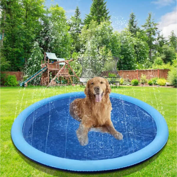 Waterlark - Pool with fountain for kids and pets
