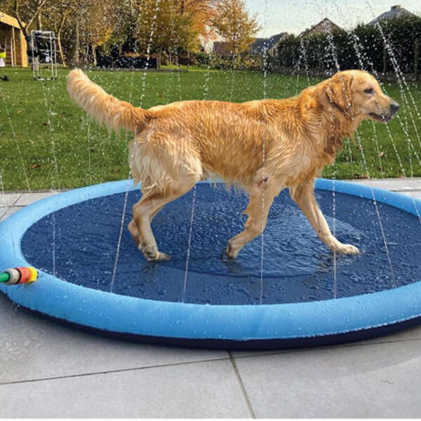 Waterlark - Pool with fountain for kids and pets