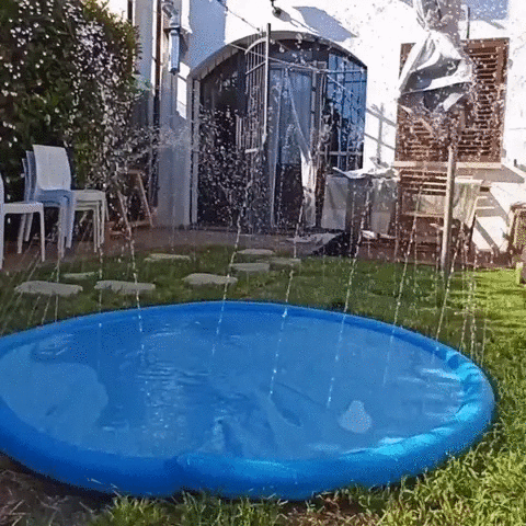 Waterlark - Pool with fountain for kids and pets