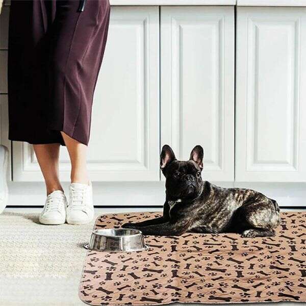 Stonus - Waterproof pad for pets