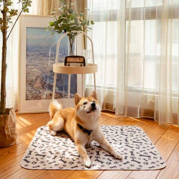 Stonus - Waterproof pad for pets