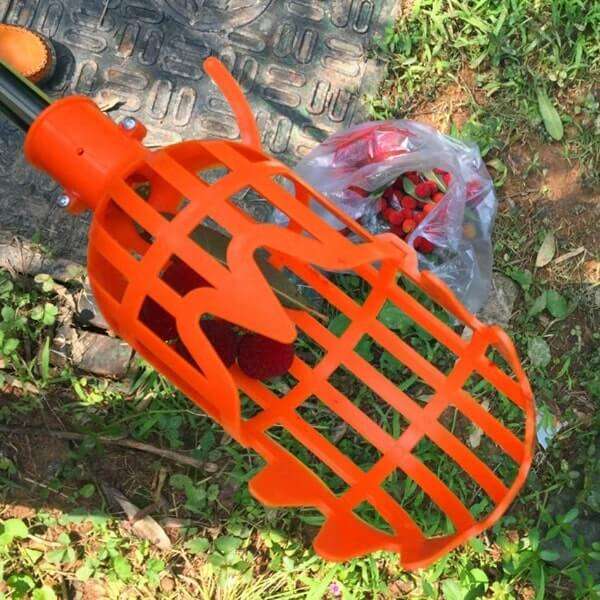 Kuster - Fruit picker tool