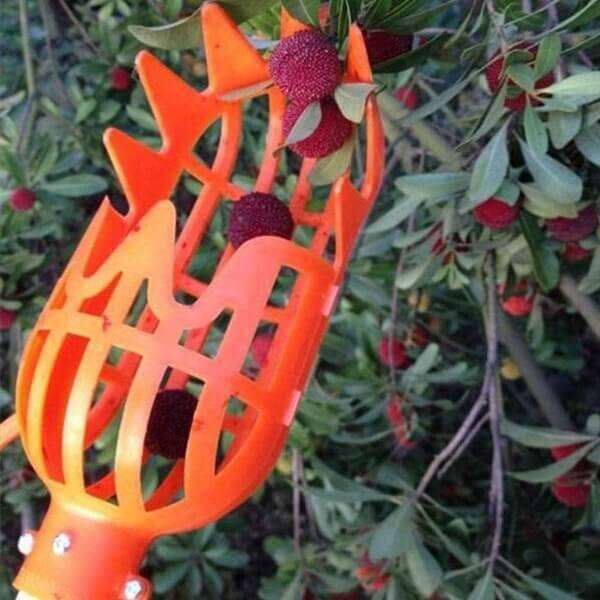 Kuster - Fruit picker tool