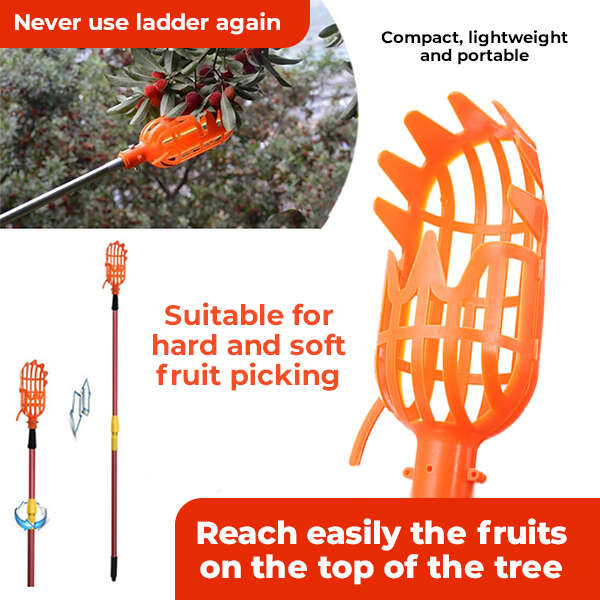 Kuster - Fruit picker tool