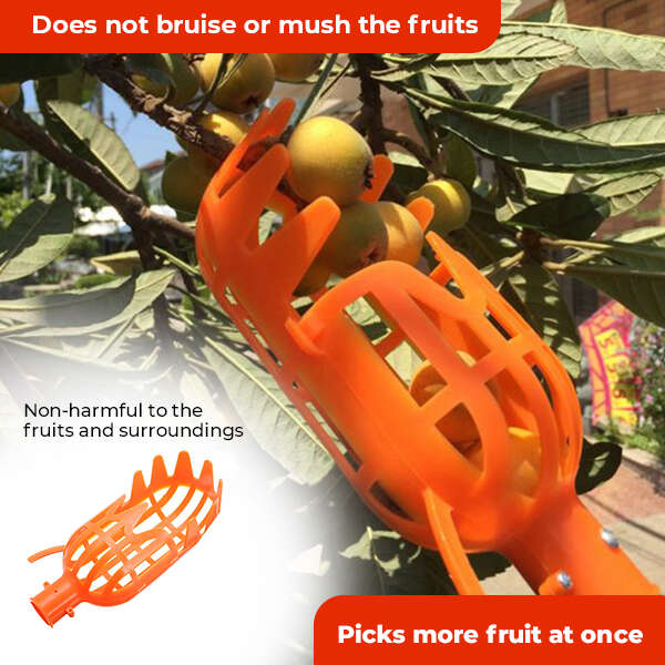 Kuster - Fruit picker tool