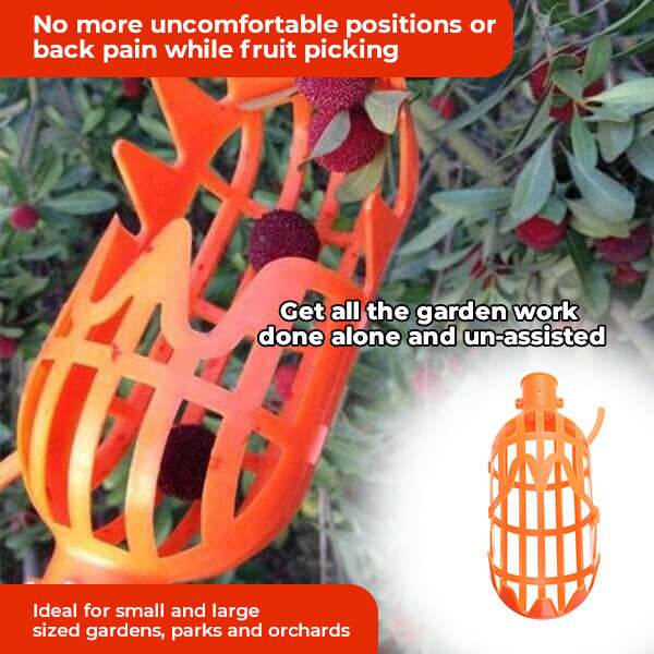 Kuster - Fruit picker tool