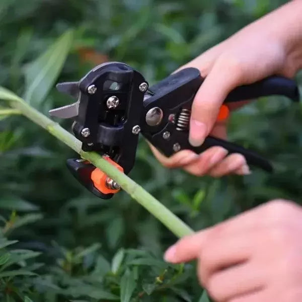Reppex - Pruning tool for fruits