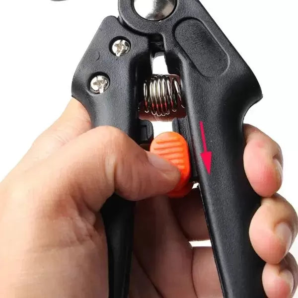 Reppex - Pruning tool for fruits