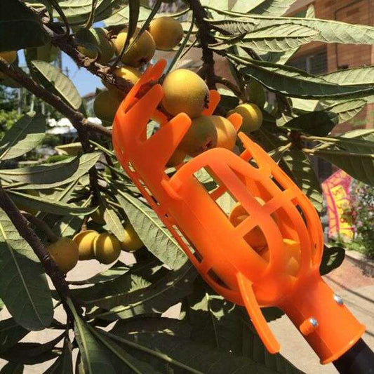 Kuster - Fruit picker tool
